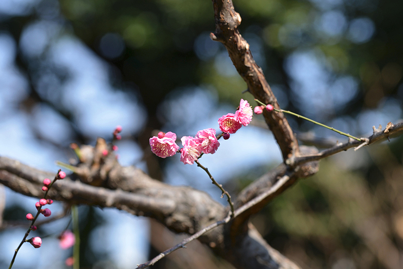 image0206