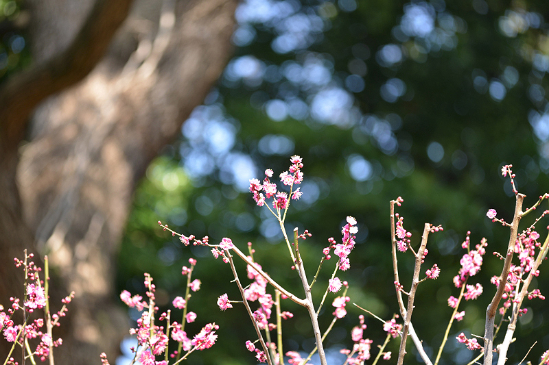 image0208