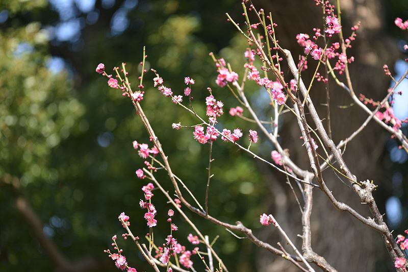 image0210