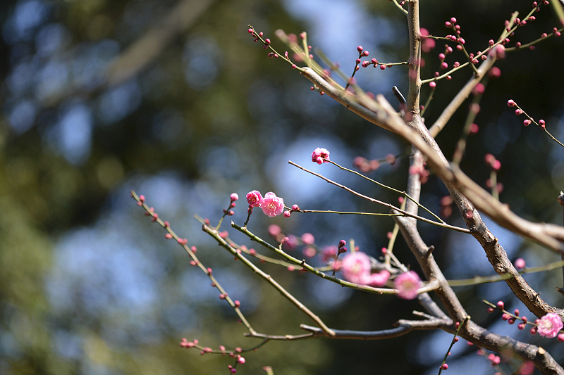 image0211