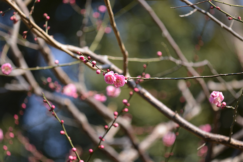 image0212