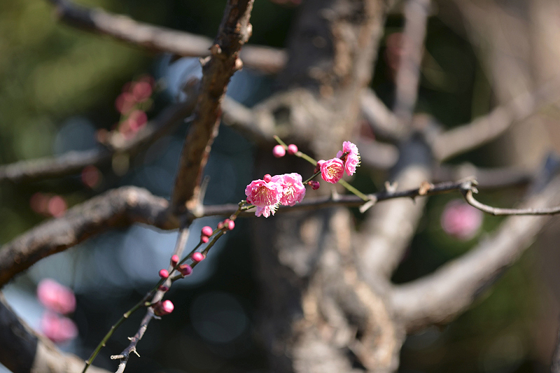 image0213