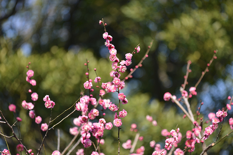 image0214