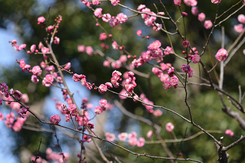 image0215