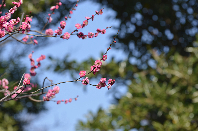 image0217