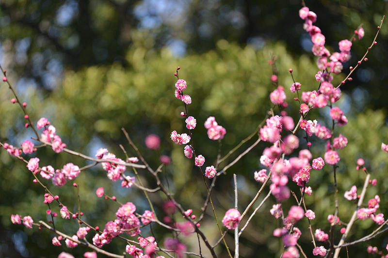 image0218