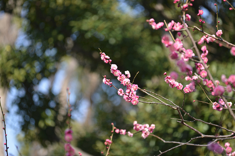 image0219
