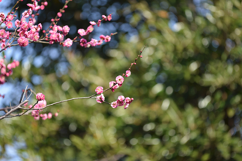image0220
