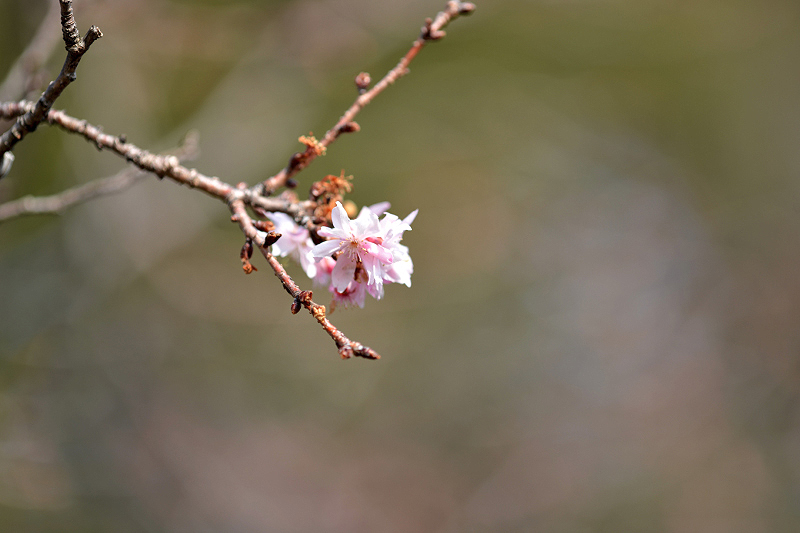image0222