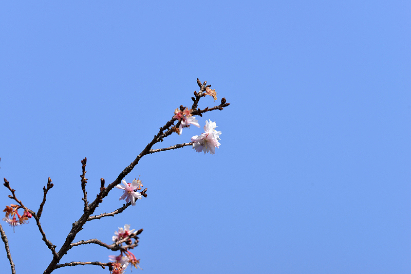 image0223