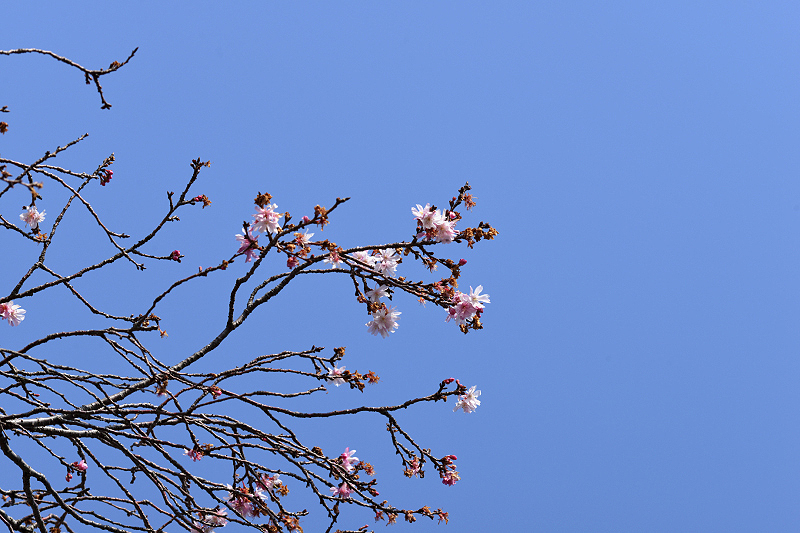 image0225