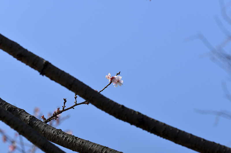 image0226