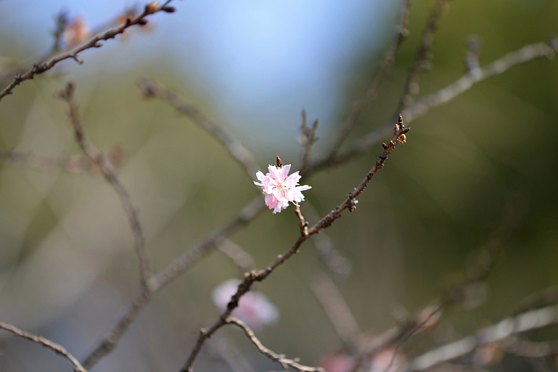 image0227