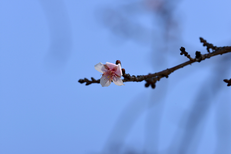 image0230