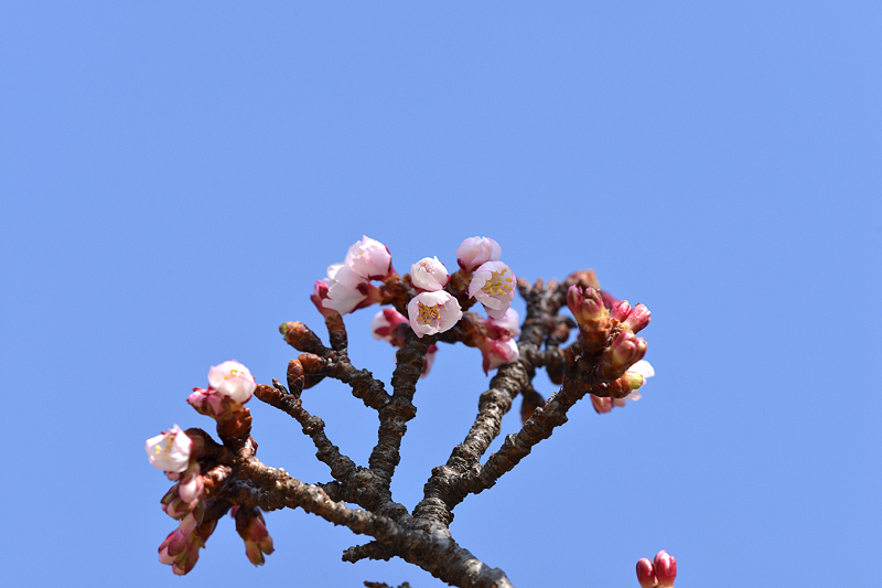image0232