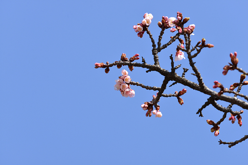 image0233