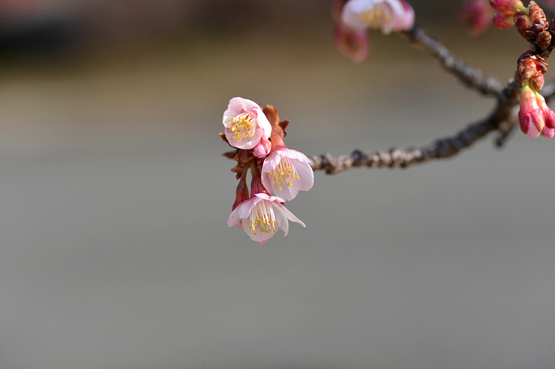image0235