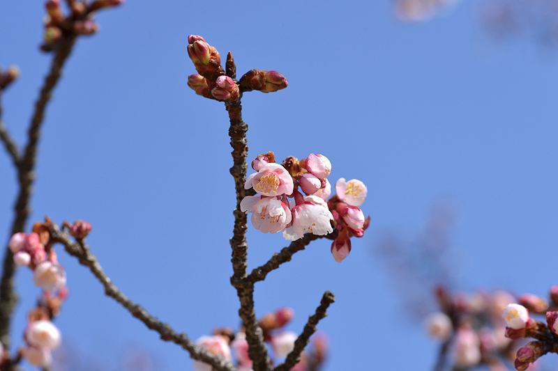 image0237