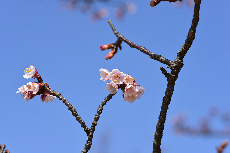 image0244