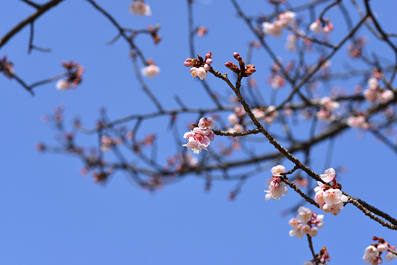 image0248