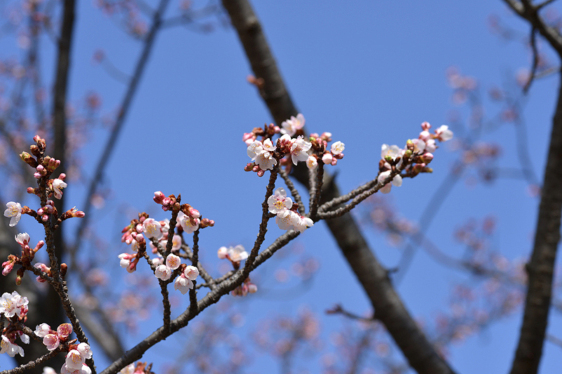 image0255