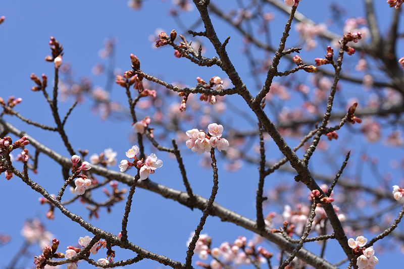 image0257