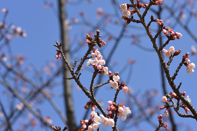 image0258