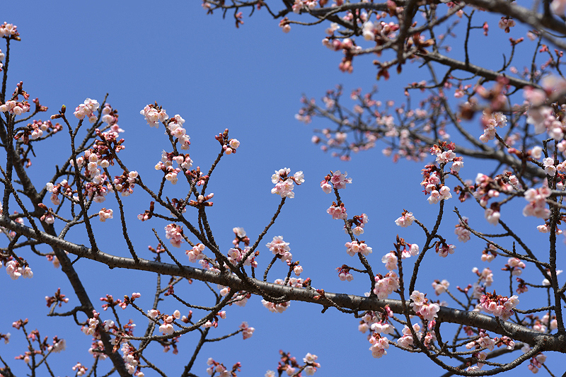 image0260