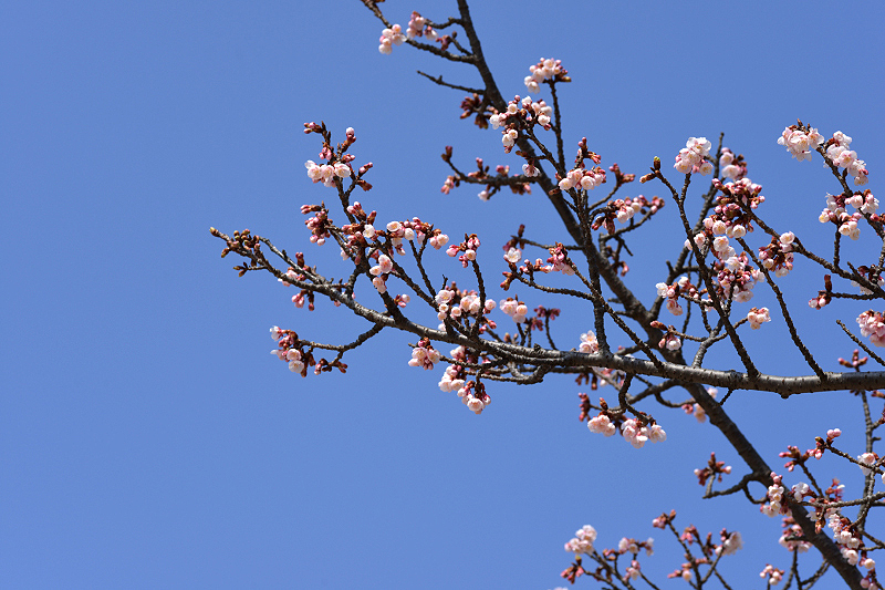 image0261
