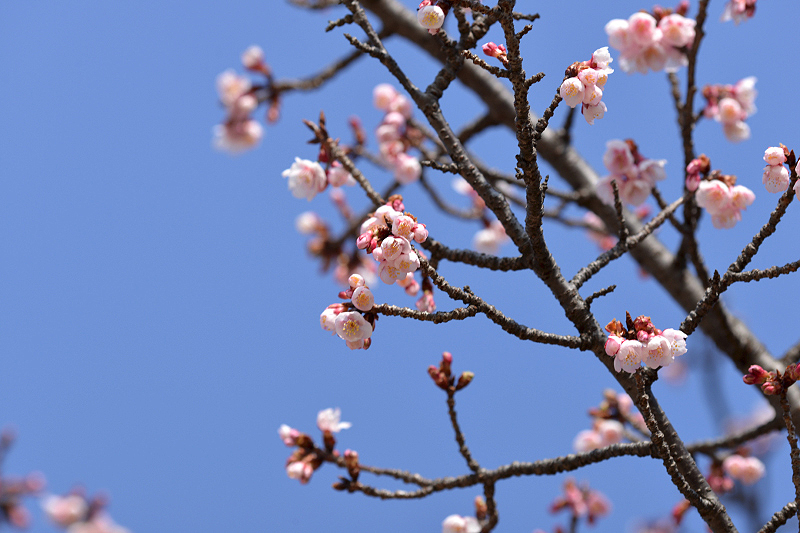 image0263