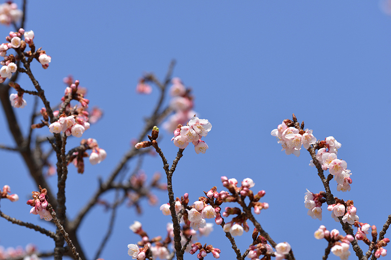 image0269