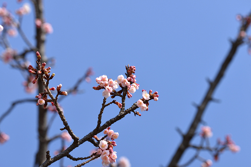 image0273