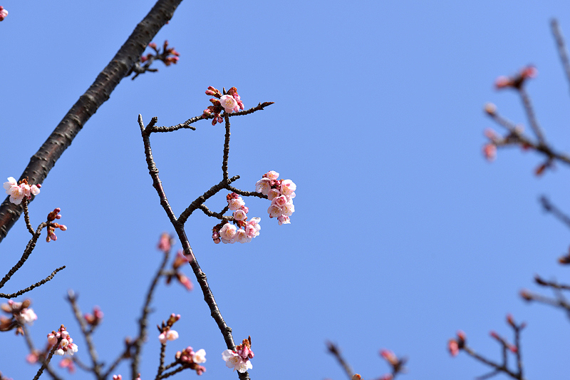 image0274