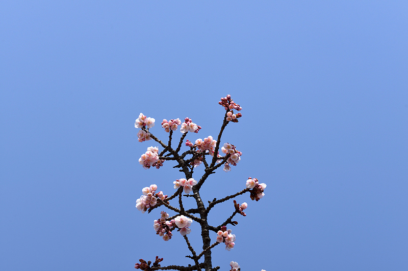 image0275