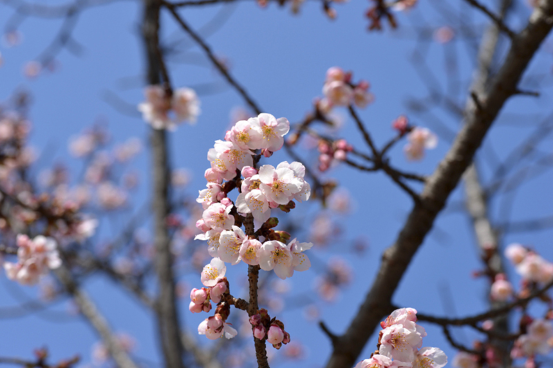 image0277