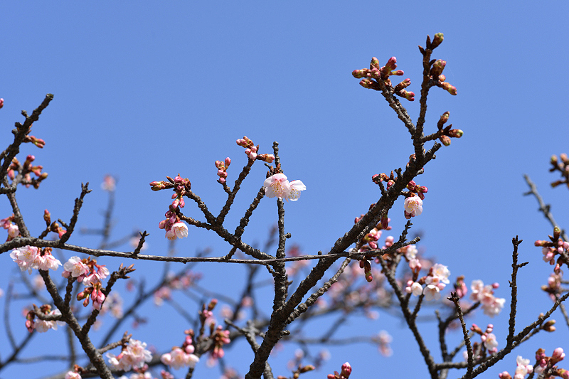 image0285