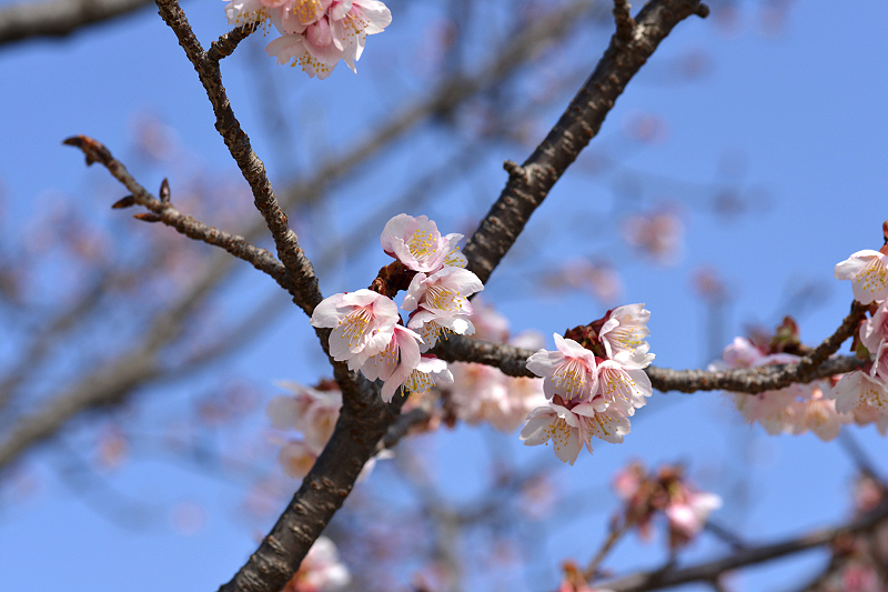 image0292