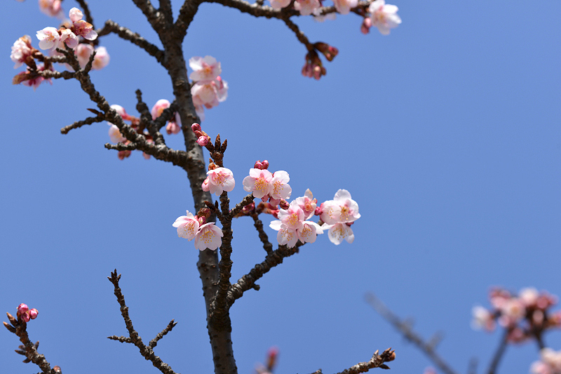 image0296