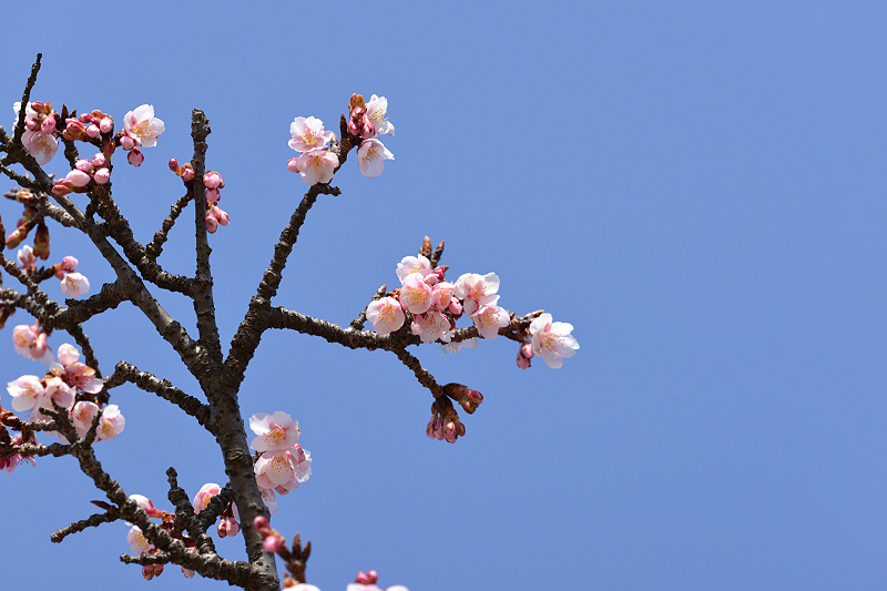 image0297