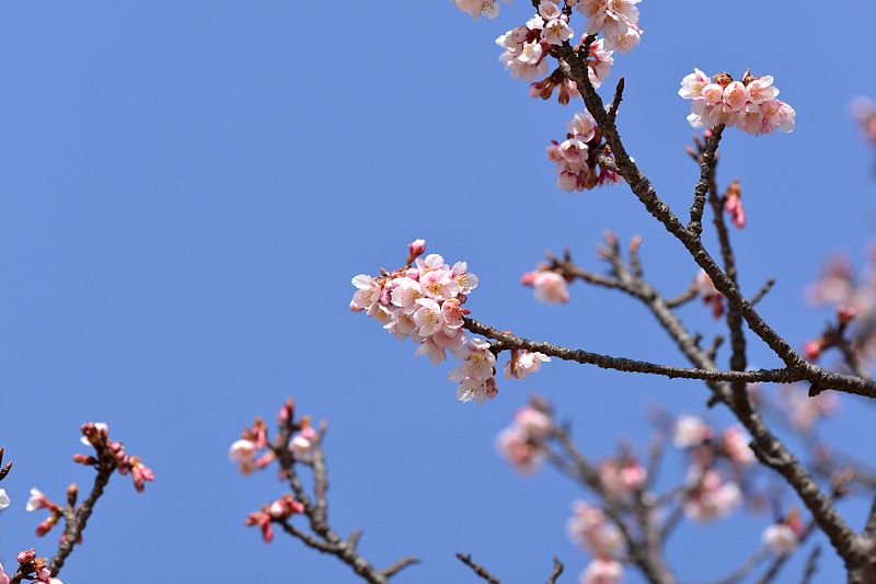 image0299