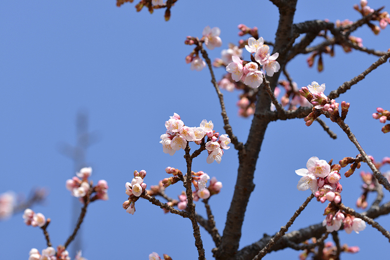 image0300