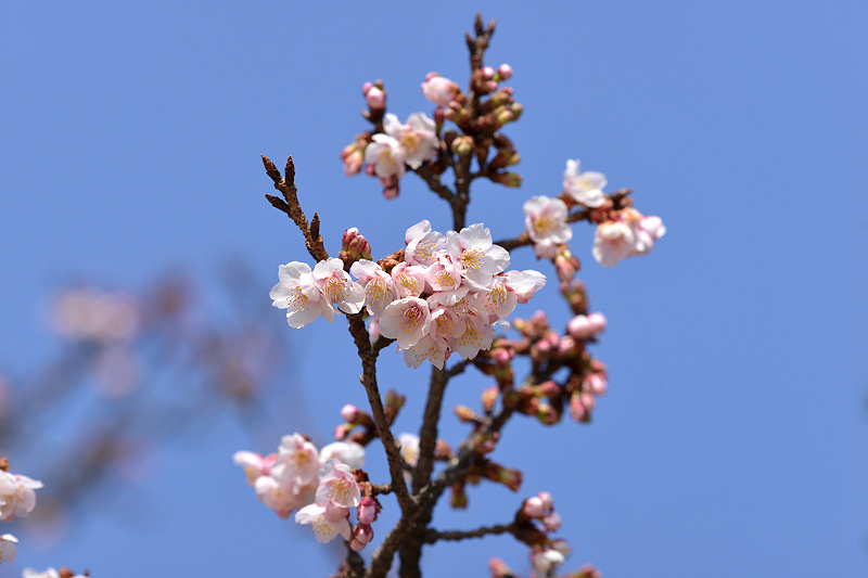 image0301