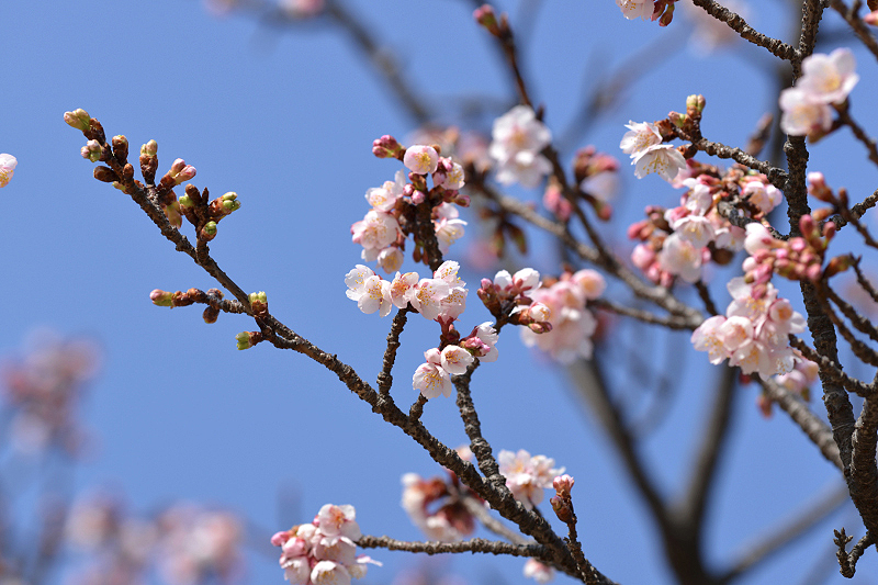 image0302