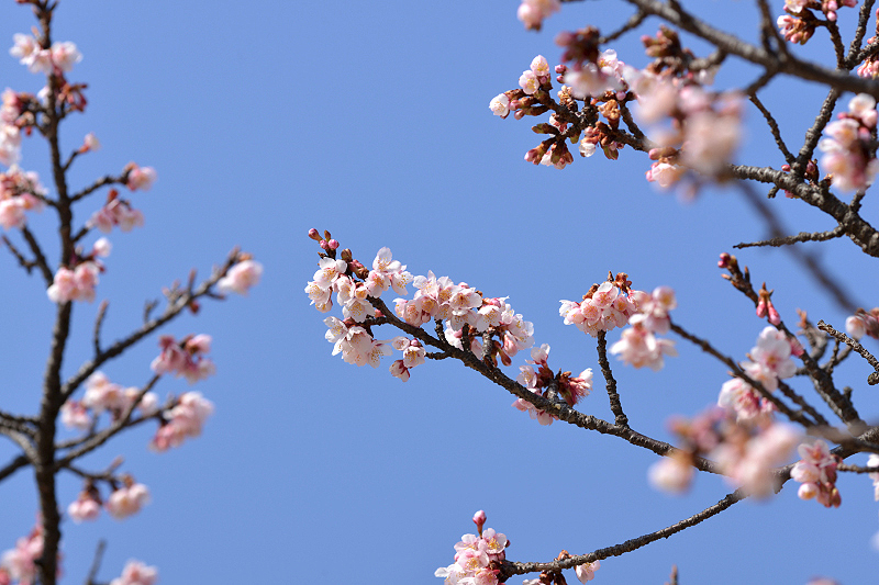 image0303