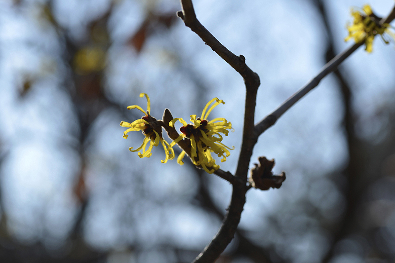 image0304