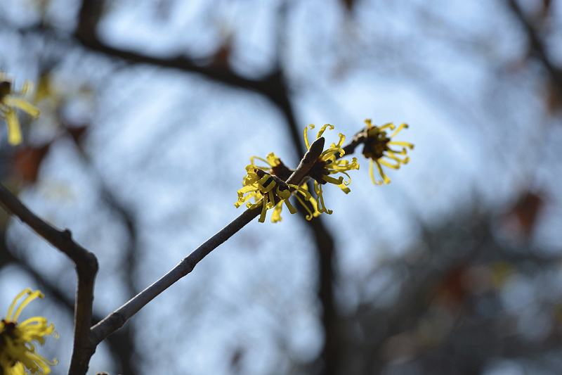 image0305