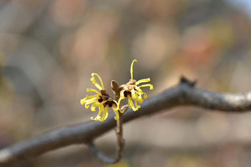 image0308
