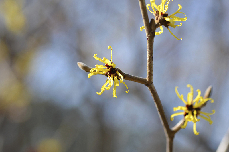 image0310