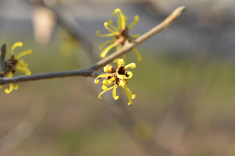 image0311