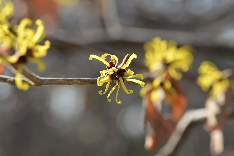 image0312